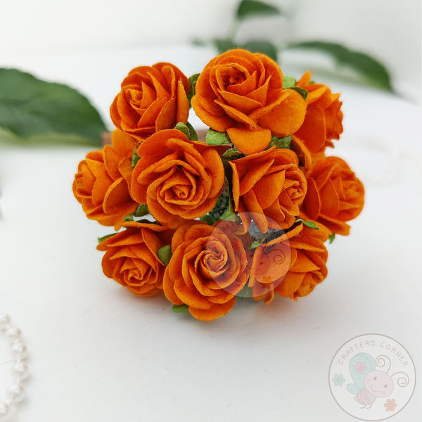 Micro Roses - Orange