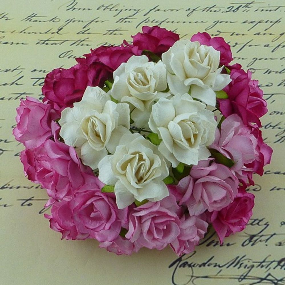 Pink/White - Wild Rose Combo