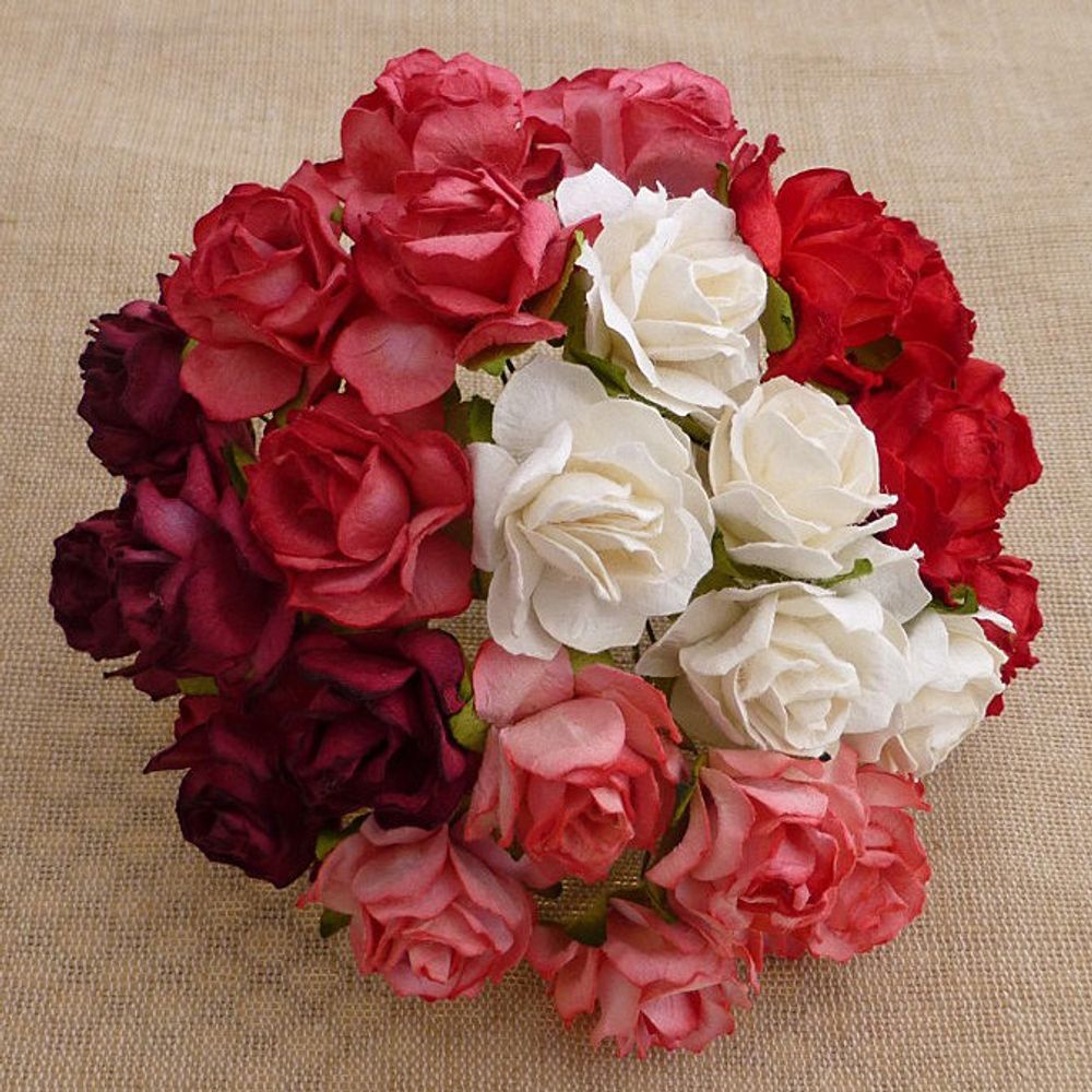 Wild Rose Combo - Red & White