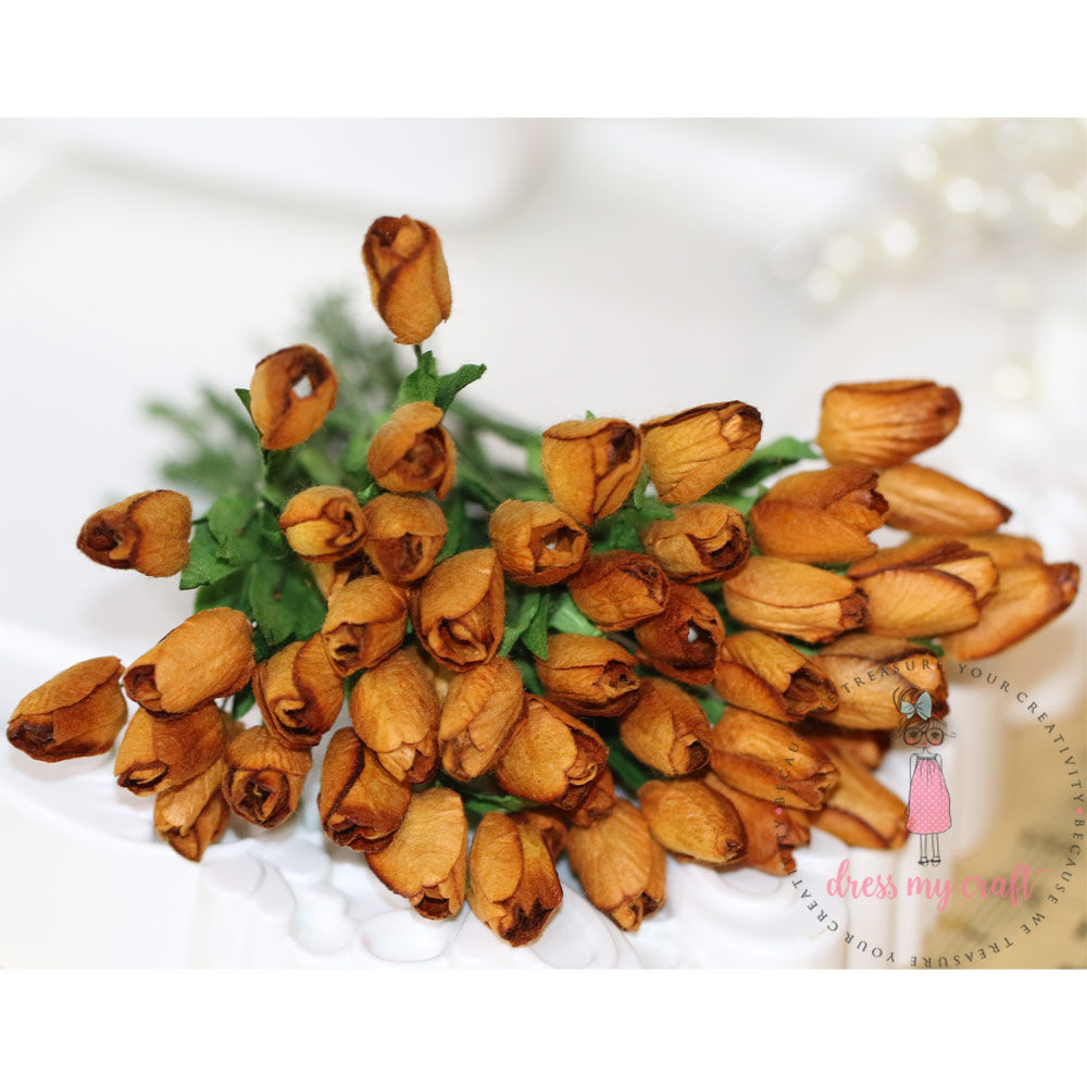 Tulip Buds - Mustard Brown