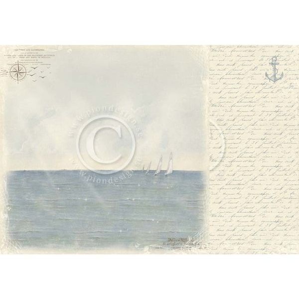 Sailing - Shoreline Treasures