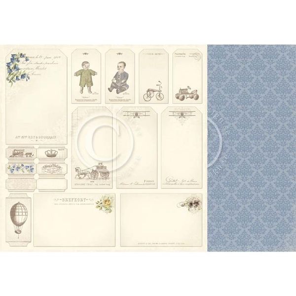 Tags - My Beloved Son