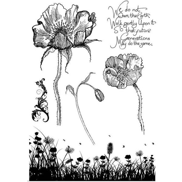 Poppy Meadow