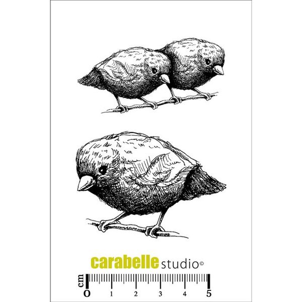 Stamps - Une vie de piafs