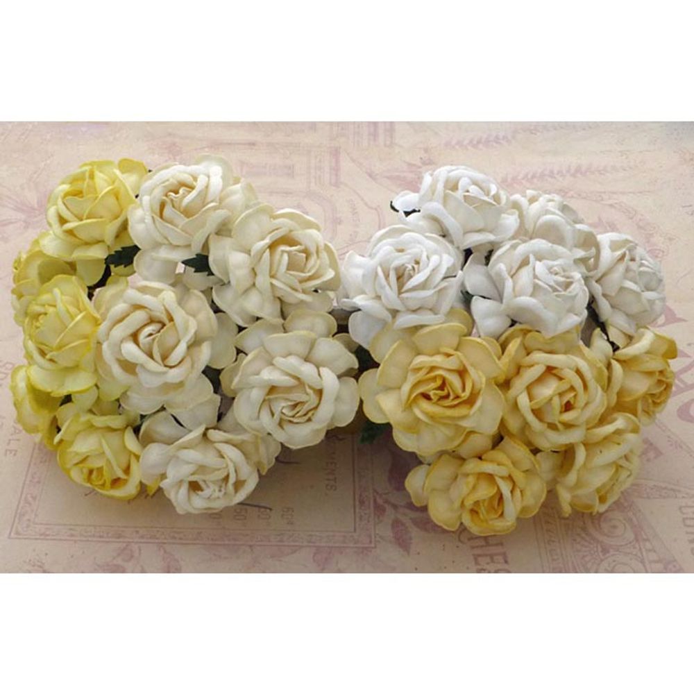 Curved Roses Combo - WHITE/CREAM Tone