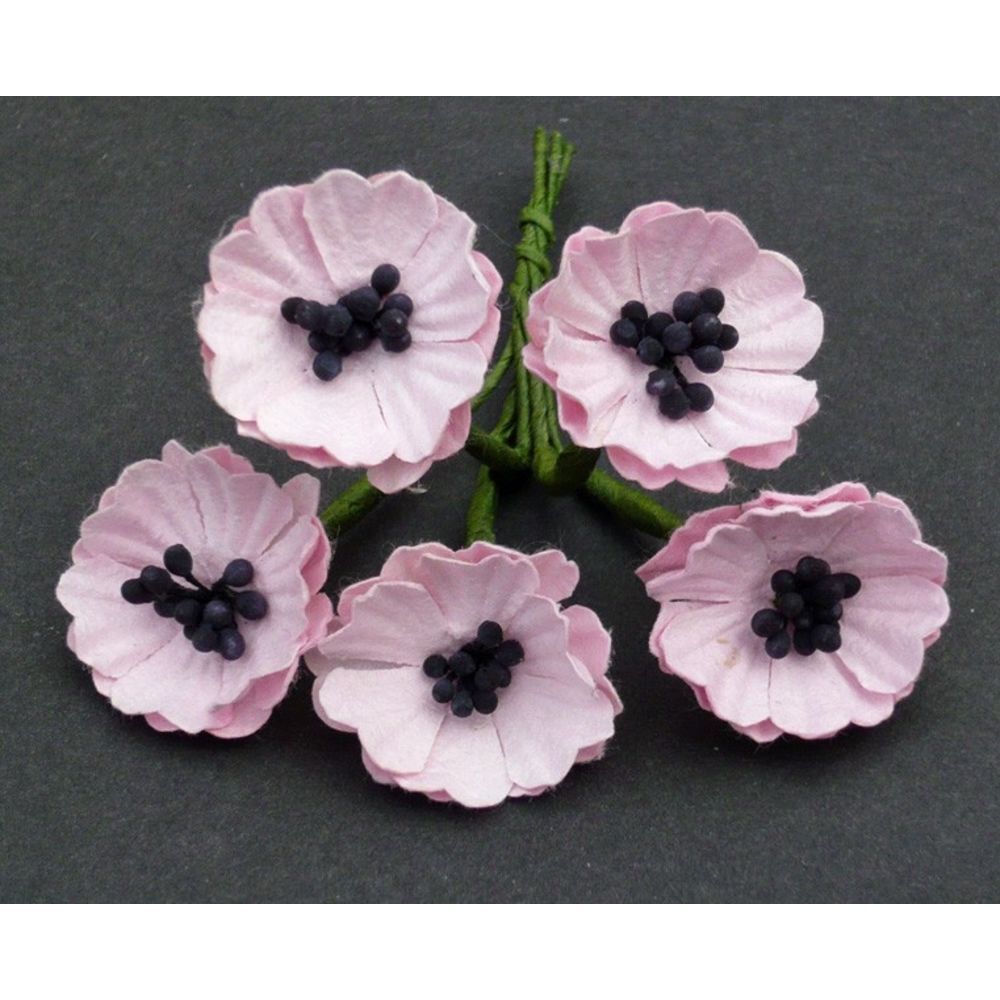 Poppy Flower with Pollens - Pink