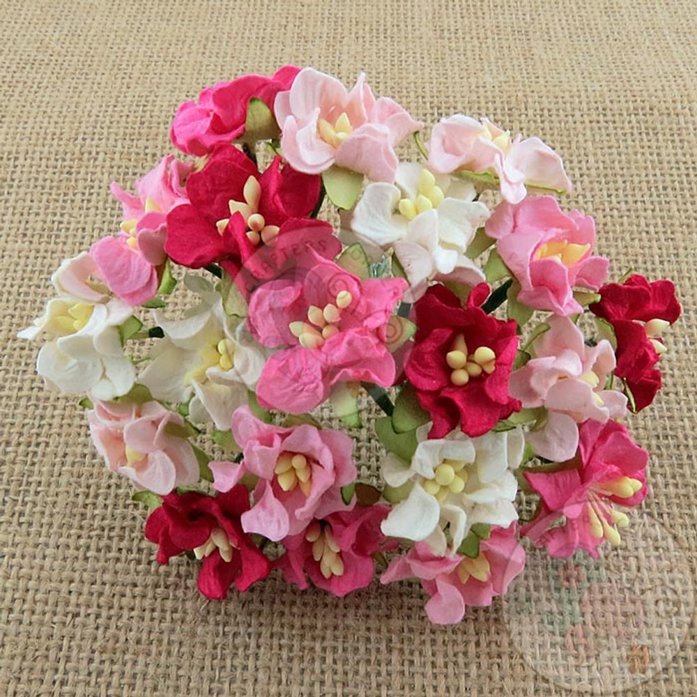 MINI GARDENIA FLOWERS - PINK MINIATURE