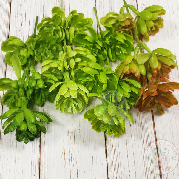 Succulents Flowers (Artificial)