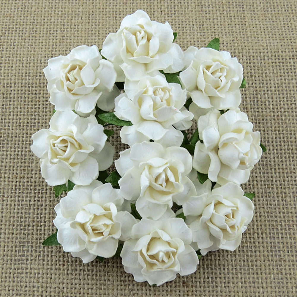 Twisted Roses - Ivory
