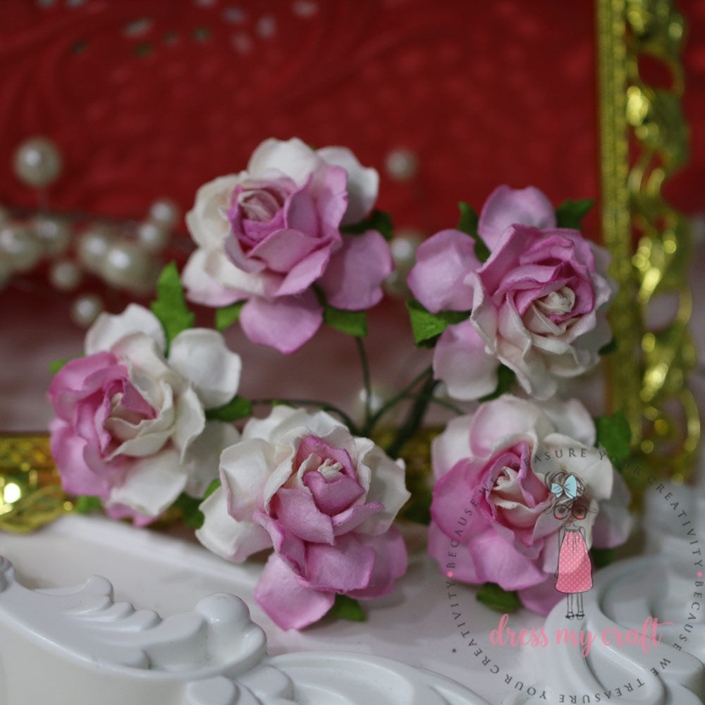 Twisted Roses - Pink Combo