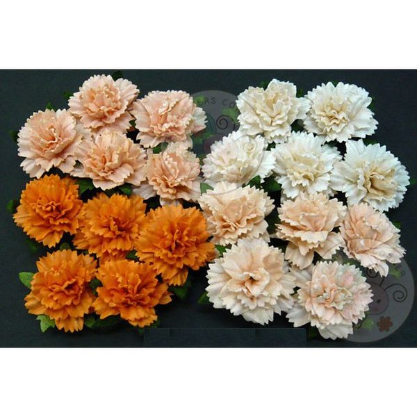 Peach/Orange - Carnations Combo