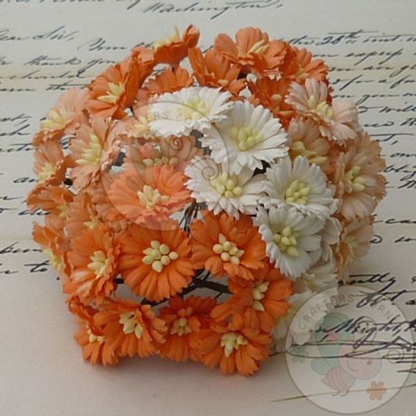 Cosmo Combo - Orange/White