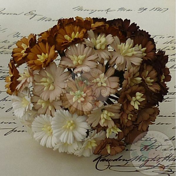 Cosmo Combo - Brown/White