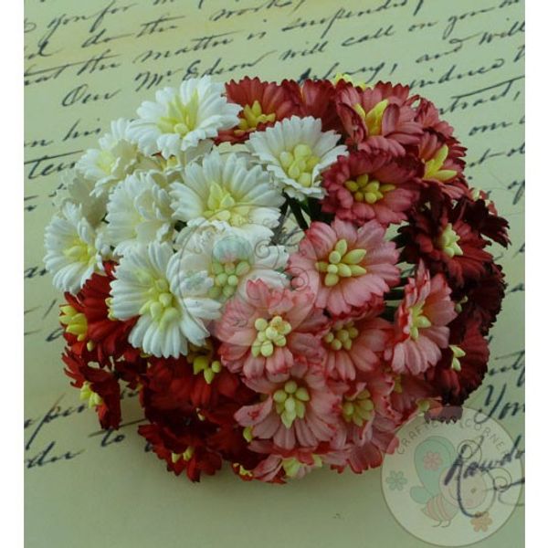 Red/White - Cosmo Combo