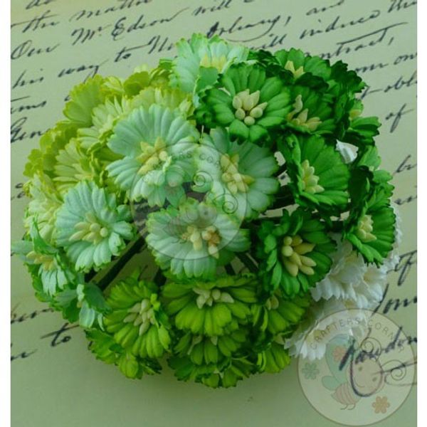 Green/White - Cosmo Combo