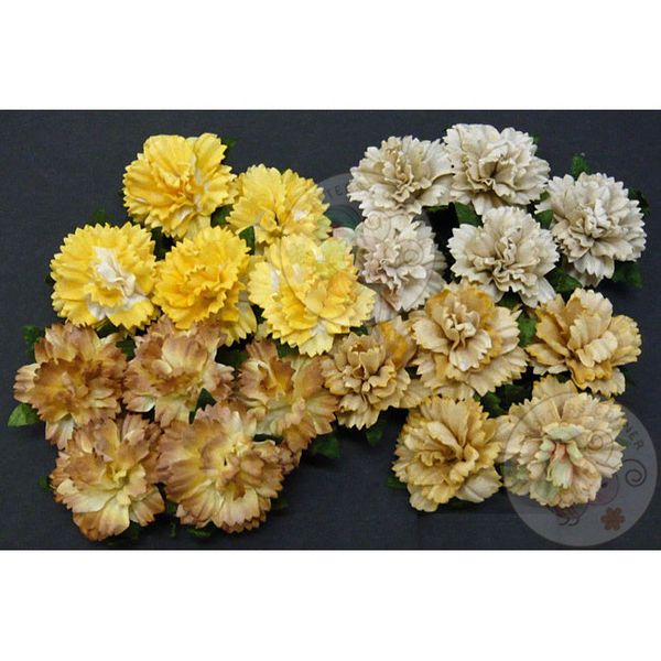 Earth Mulberry - Carnations Combo